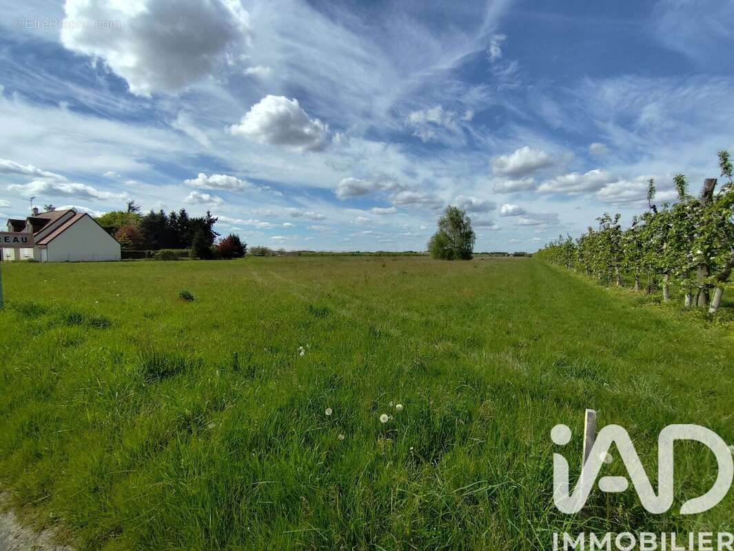 Terrain 2156 m² à Mezieres-Lez-Clery  - photo 4