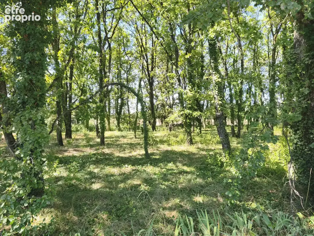 Terrain à AOUSTE-SUR-SYE