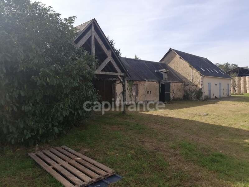 Dpt Sarthe (72), à vendre ALLONNES - POUR INVESTISSEURS - maison P6   SH 180m2 - terrain 2841 m2 - photo 2