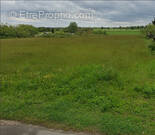 Terrain à CLERY-SAINT-ANDRE