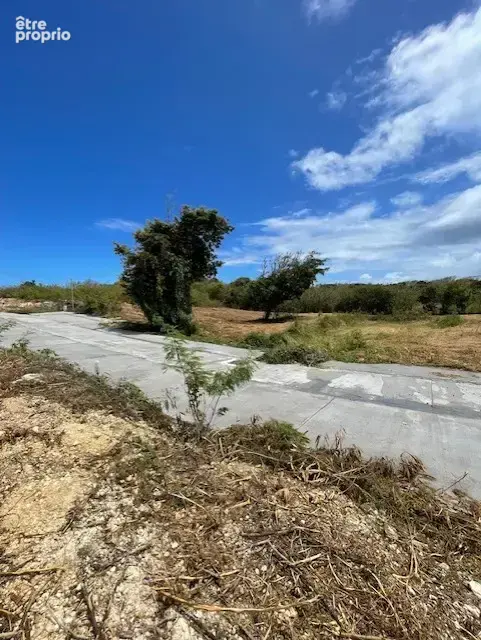 Tres beaux terrains a vendre en lotissement - photo 2