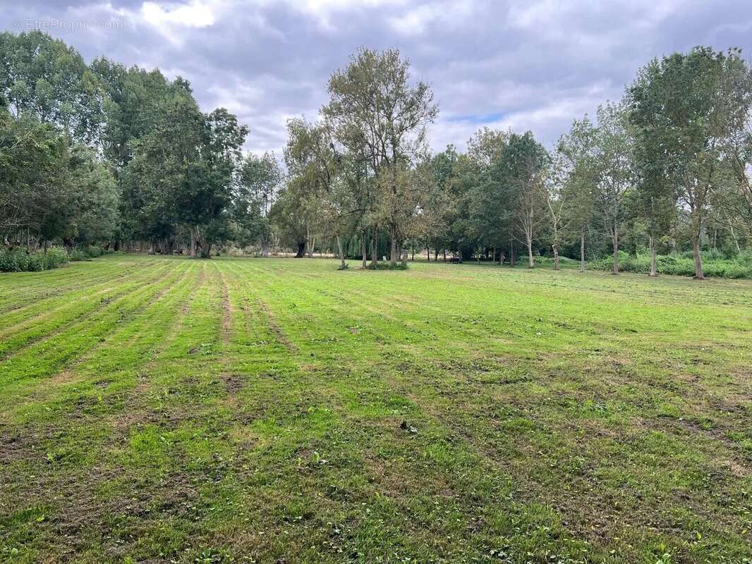 Terrain à LE VANNEAU-IRLEAU