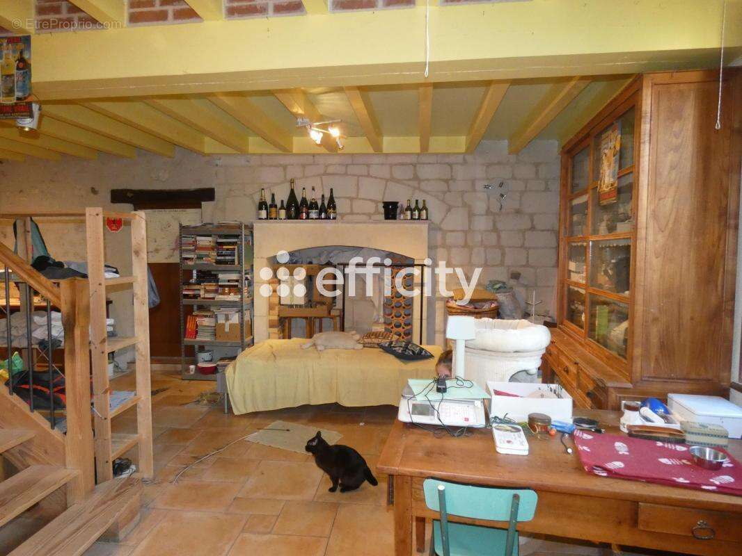 Maison 307 m² à Charroux  - photo 11