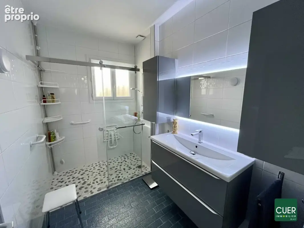 Maison 9 pièces 245 m² à vendre à La Roche-De-Glun (26600) - photo 5
