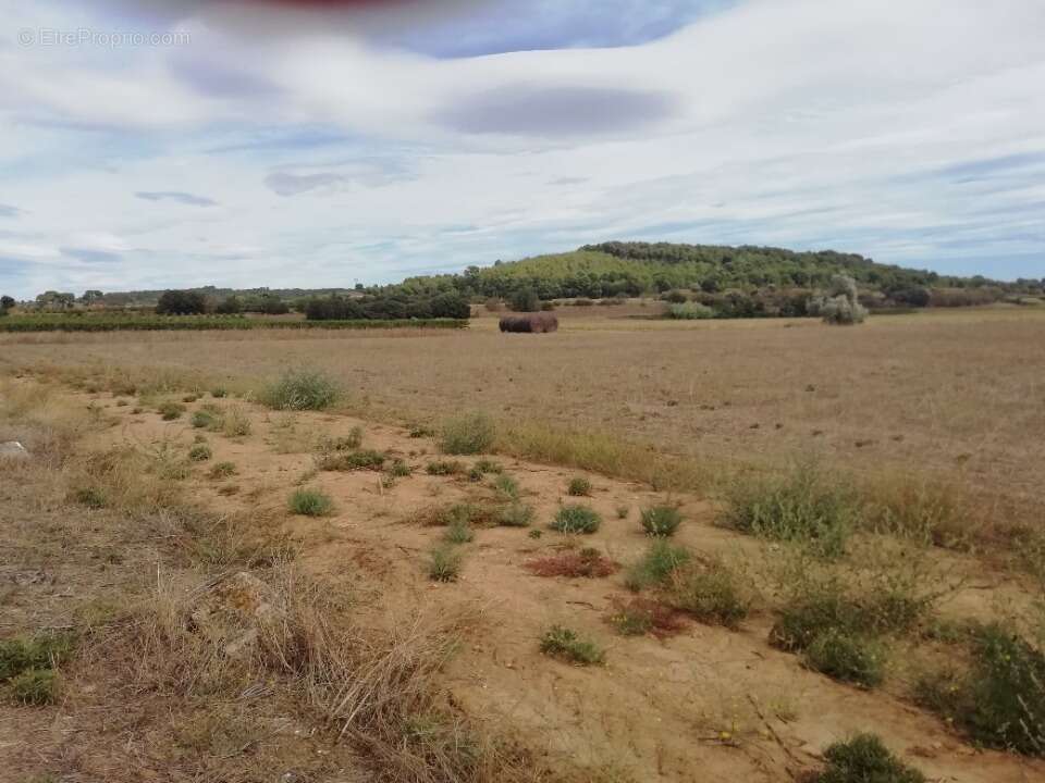 Terrain à LIGNAN-SUR-ORB
