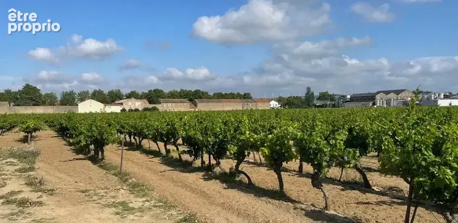 Photo Terrain à Canet au prix de 84 900€