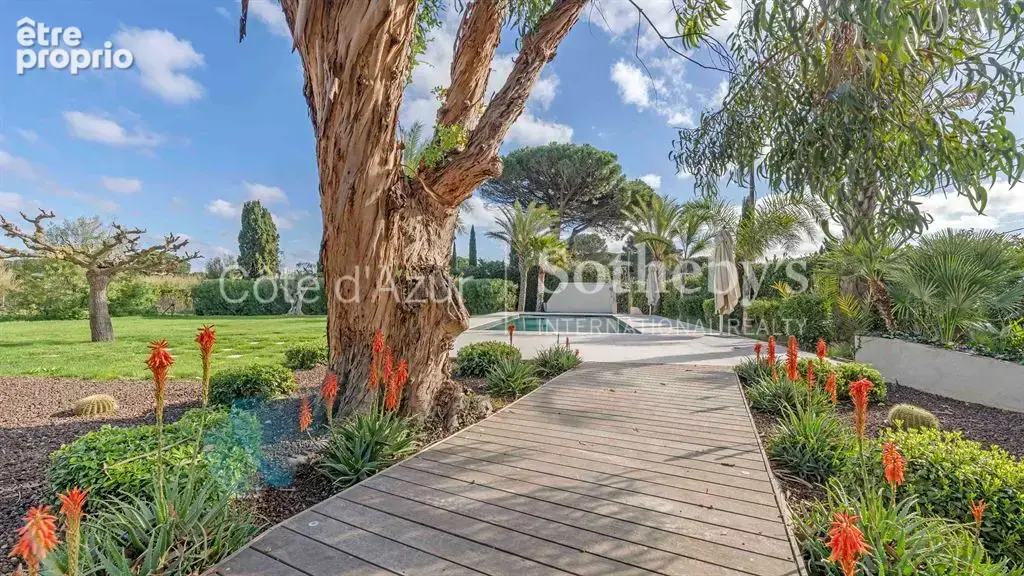 Ramatuelle Pampelonne propriété 162 m² terrain 7130 m² vignes piscine plage à pied - photo 18