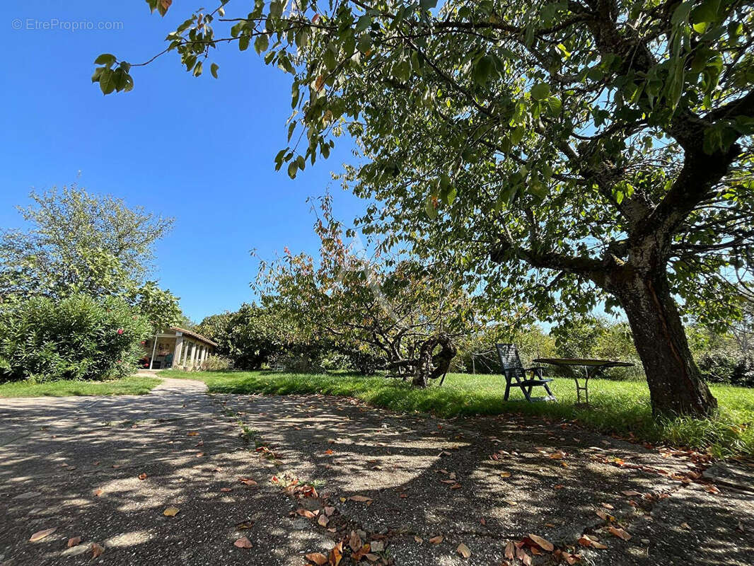 Grande Toulousaine avec 4 chambres et dépendances sur 3200m² de terrain ! - photo 17