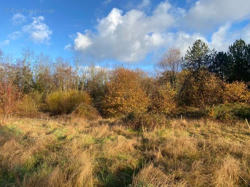 Maison à SAINT-MORILLON