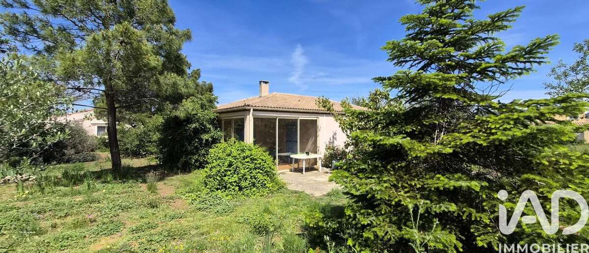 Photo 5 - Maison à THEZAN-DES-CORBIERES
