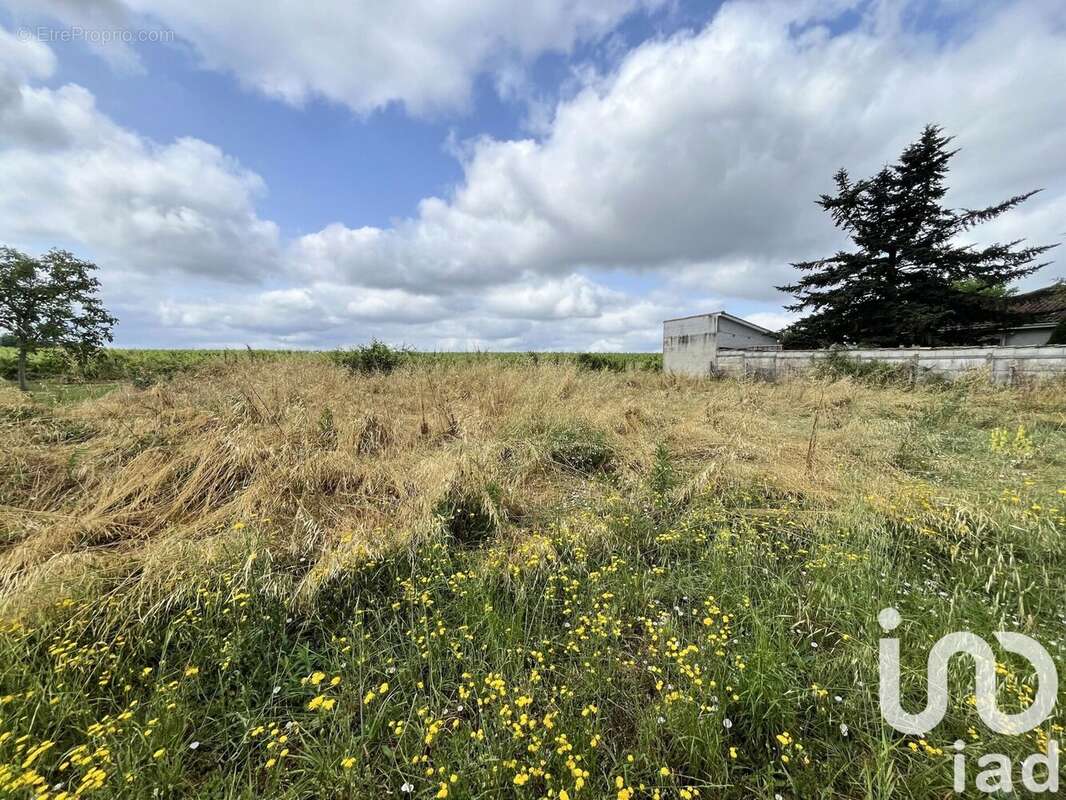 Photo 2 - Terrain à PORTETS