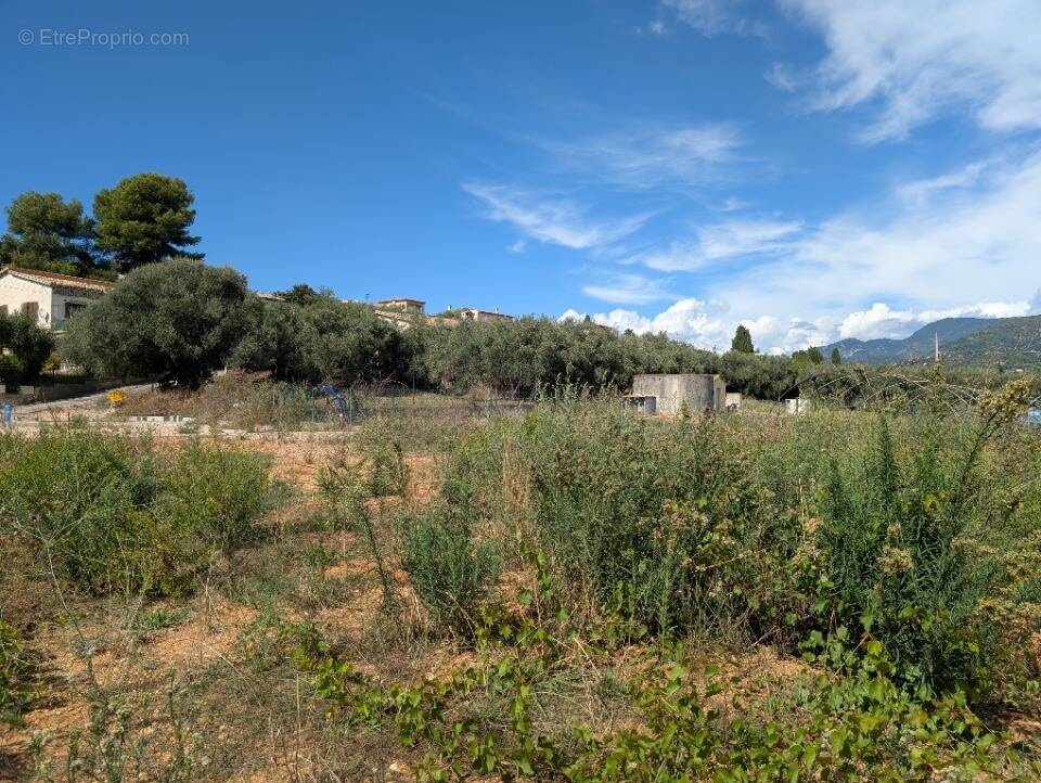 Terrain à CARROS