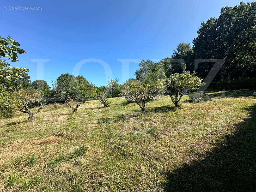 Maison à AIGUEFONDE