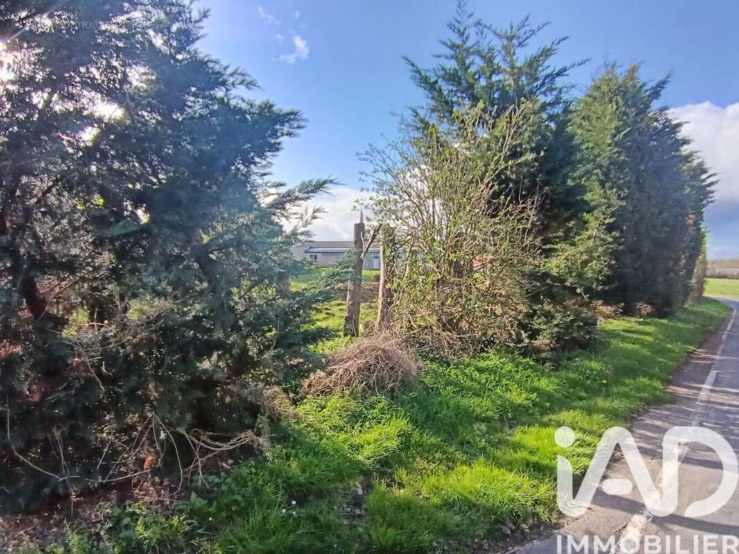 Photo 2 - Terrain à ARGENTON-CHATEAU