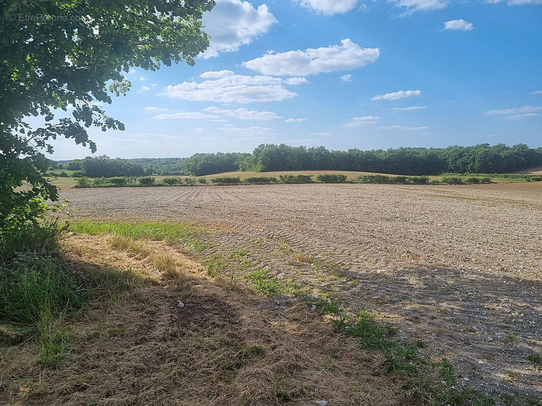 Maison à MONTAIGU-DE-QUERCY