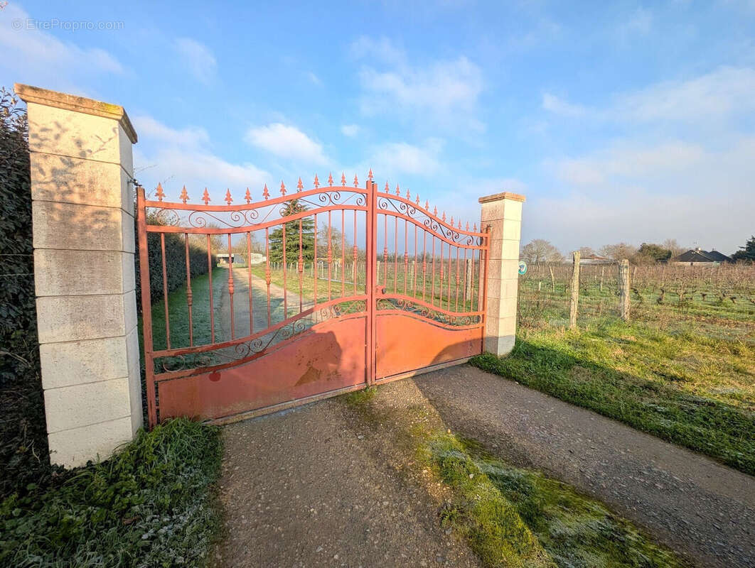 Maison à MONTREUIL-BELLAY
