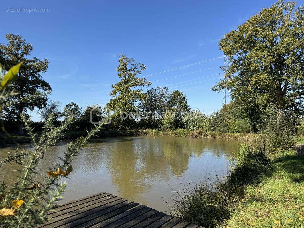 Terrain à SAINT-PIERRE-LA-COUR