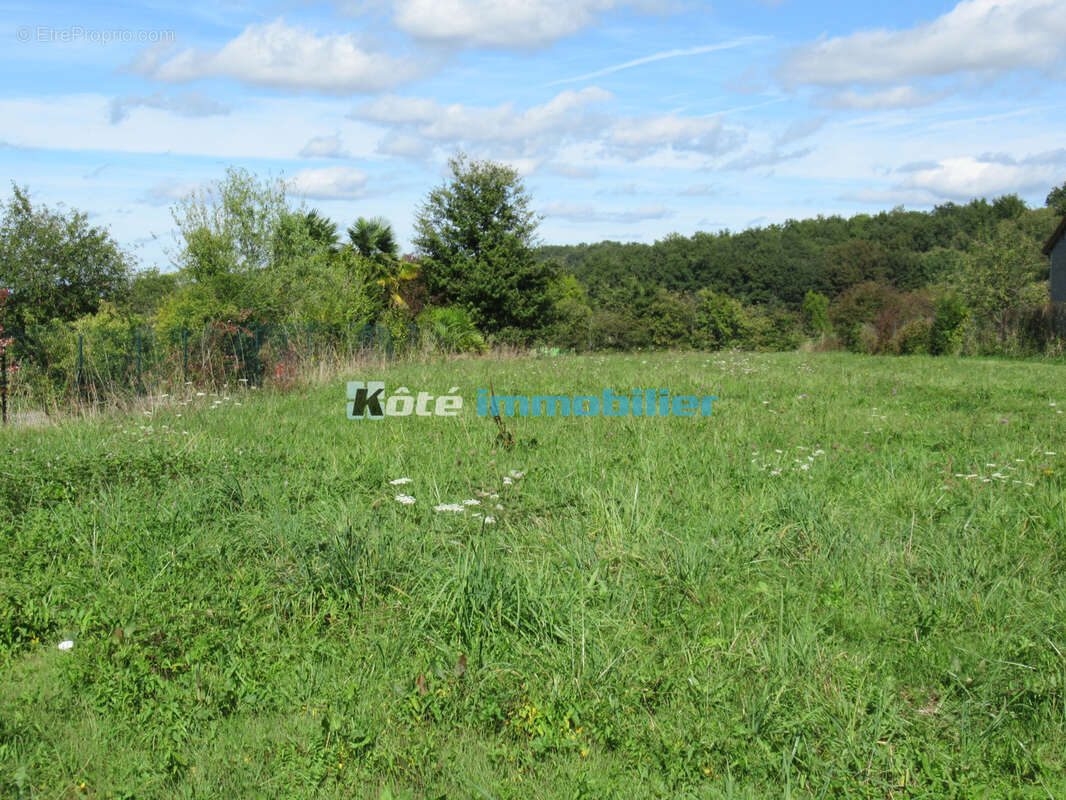 Terrain à AUBAREDE