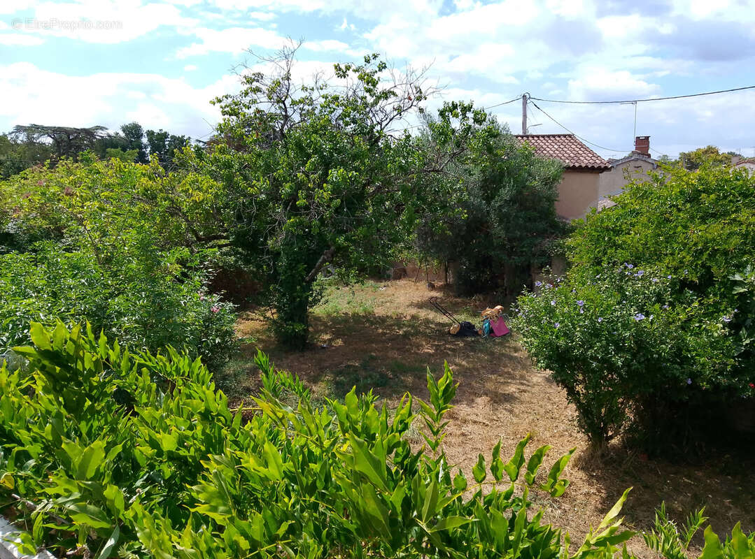 Maison à LISLE-SUR-TARN