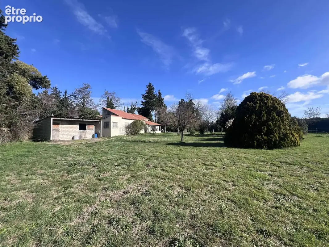 Maison en camargue 15000m2 de terrain - photo 13