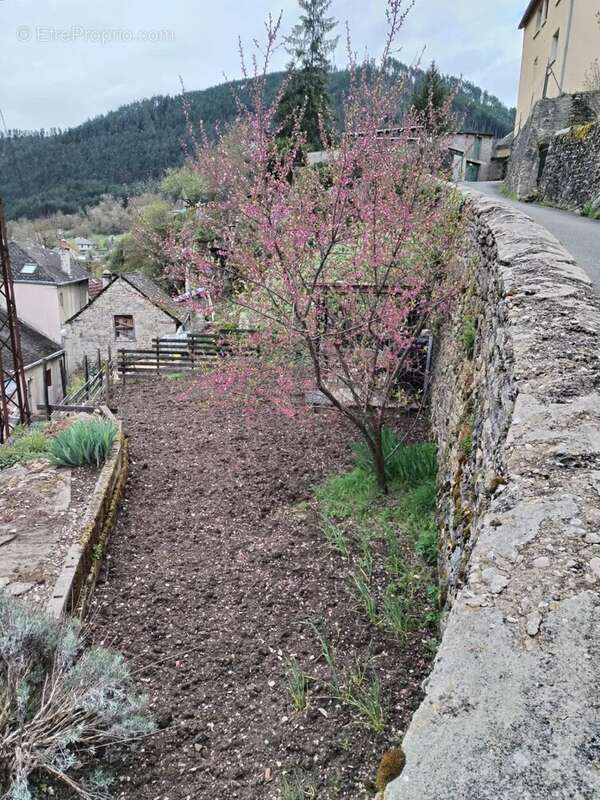Ensemble immobilier sur terrain constructible - photo 6