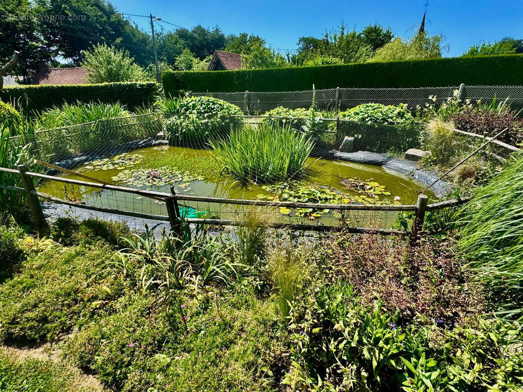 Maison à TOCQUEVILLE-EN-CAUX