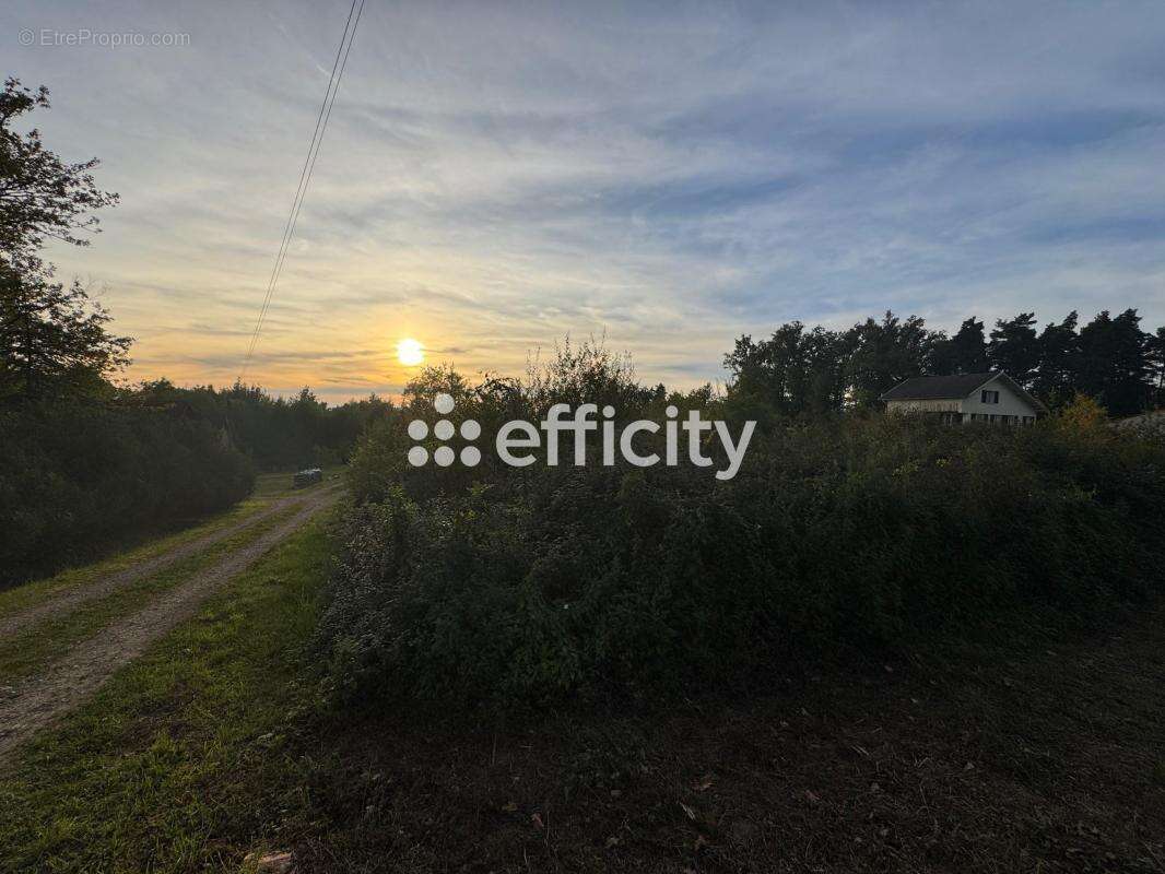 Terrain à PASLIERES