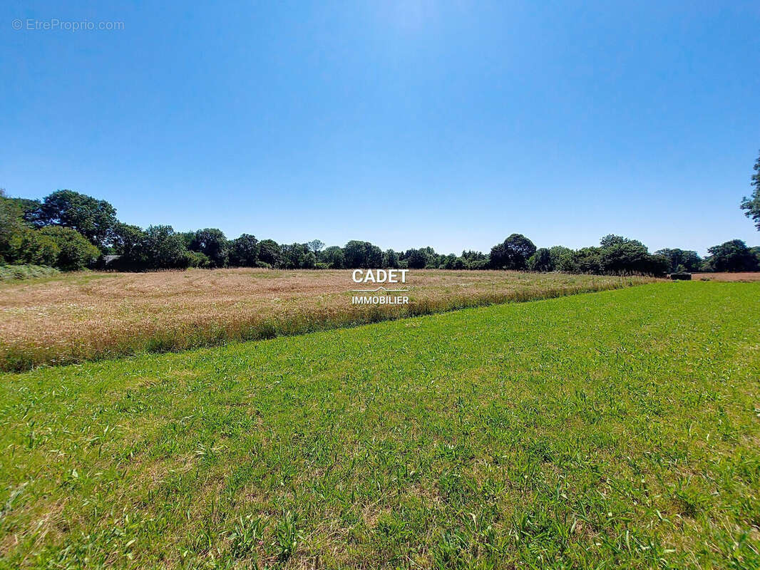Terrain à LA HAYE-PESNEL