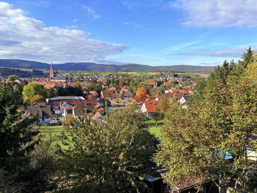 Photo 5 - Maison à REICHSHOFFEN