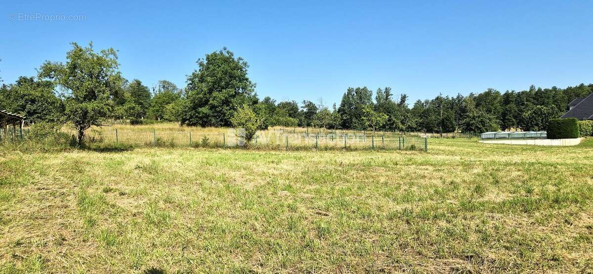 Terrain à HELFRANTZKIRCH