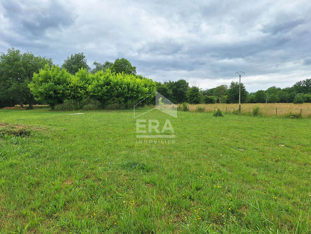 Terrain 1015m² à montpon-ménestérol - photo 3