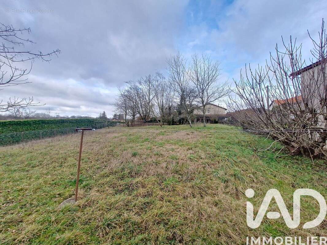 Photo 3 - Maison à MEXIMIEUX