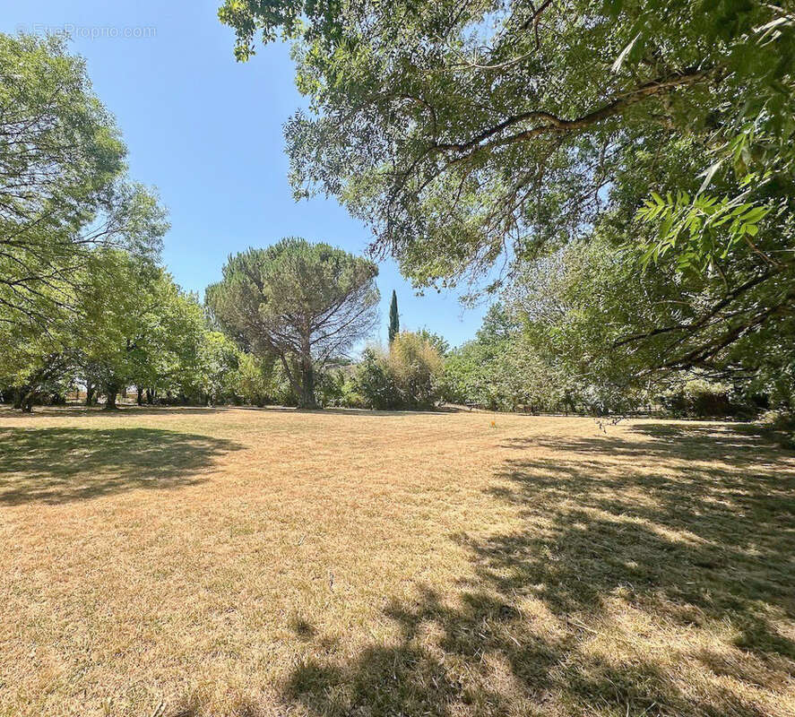 CASTELMAUROU, terrain viabilisé à bâtir de 1 404 m2 - photo 3