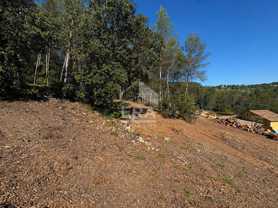 Terrain à TARADEAU