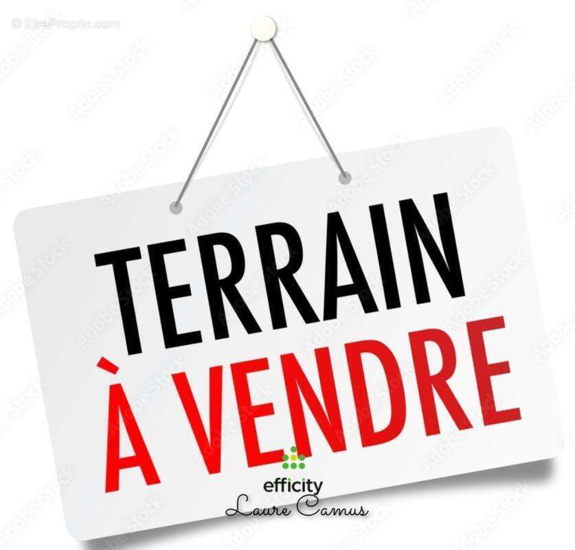 Terrain à SAINT-HILAIRE-LA-FORET