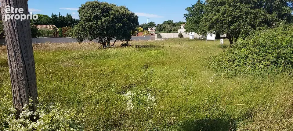 Terrain 481 m² à Sorgues  - photo 2