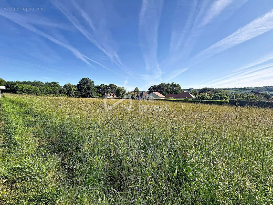 Terrain à MONEIN
