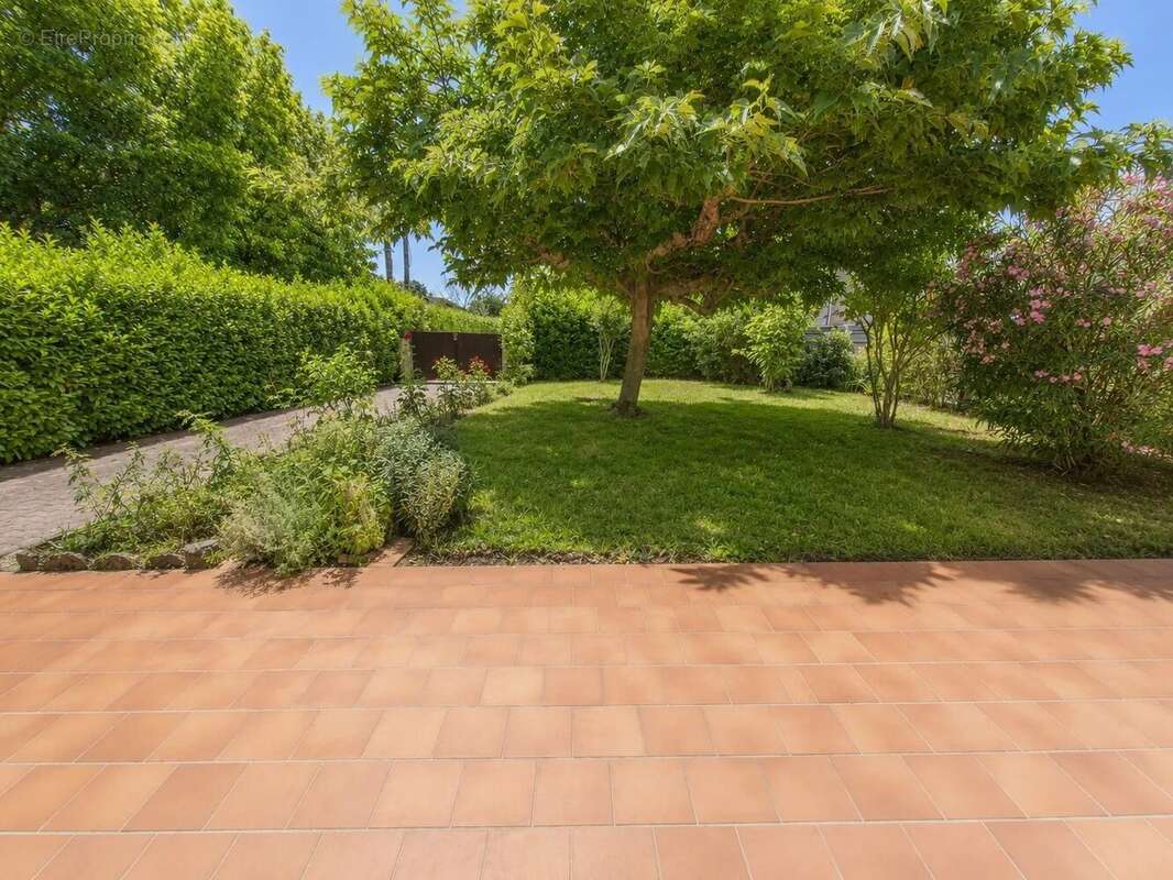 Maison à GAILLAC
