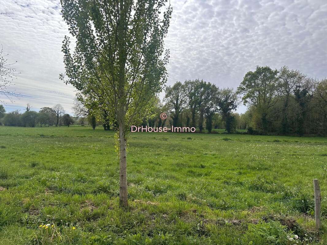 Terrain à LA BOUSSAC