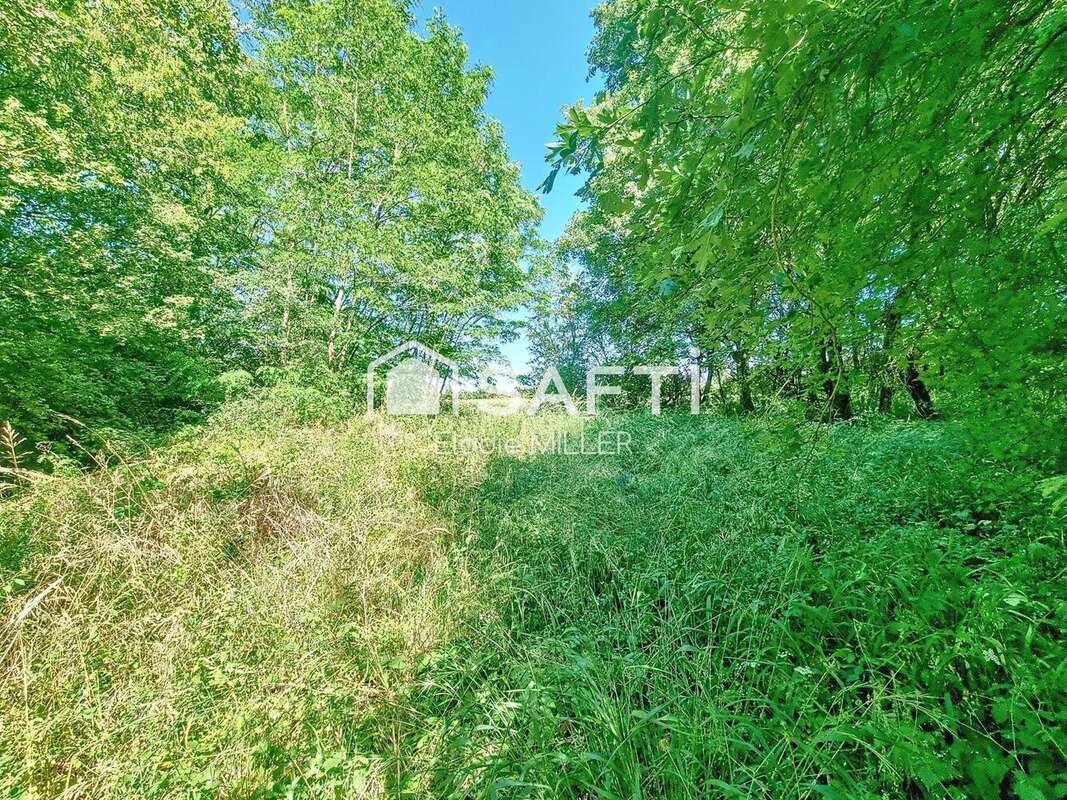 Photo 5 - Terrain à PULLIGNY