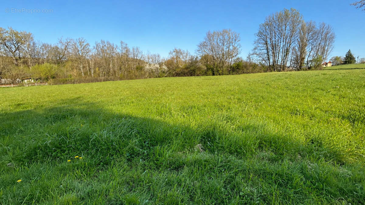 Propriété en pierre avec grange et plus de 14 000 m2 de terrain - photo 10