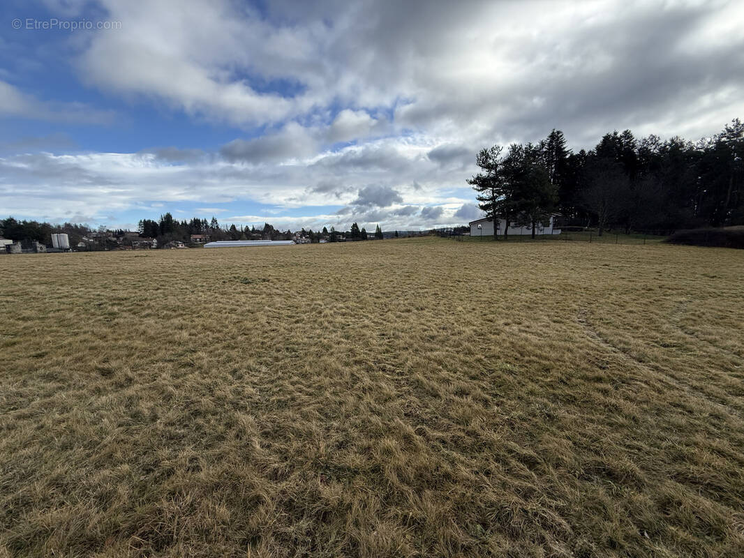 Terrain à SAINT-PAL-DE-MONS