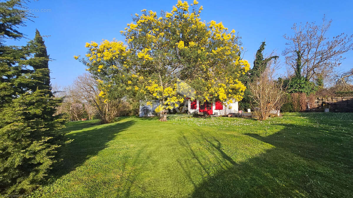 Maison 155m² à montpon-ménestérol - photo 3