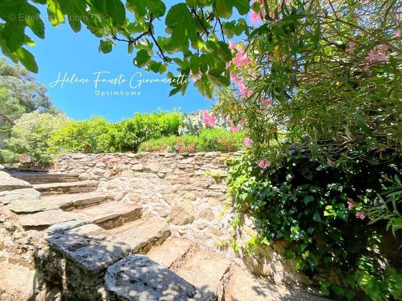 Ancien Moulin en Pierre avec dépendances sur près de 2,3 hectares – Santo-Pietro-di-Tenda - photo 32