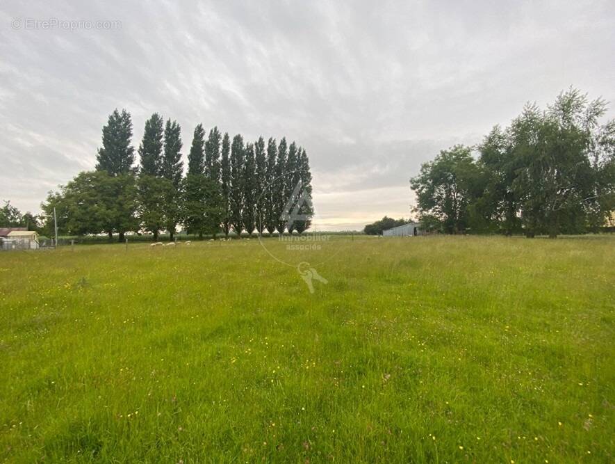 Terrain à ROUGEMONTIERS