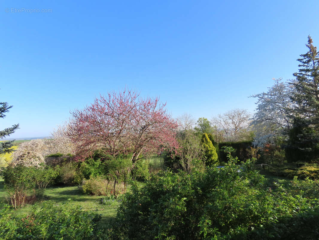 Maison 113 m² à Charroux  - photo 4