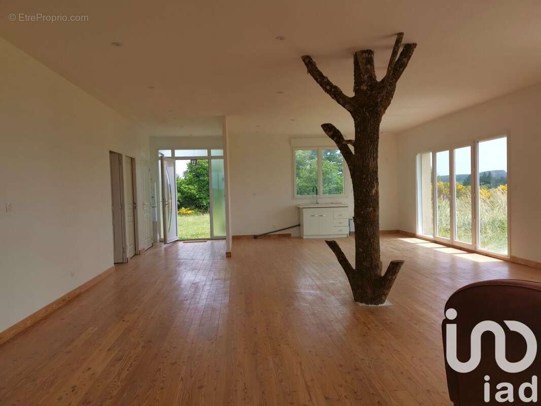 Photo 4 - Maison à PEYRELEVADE