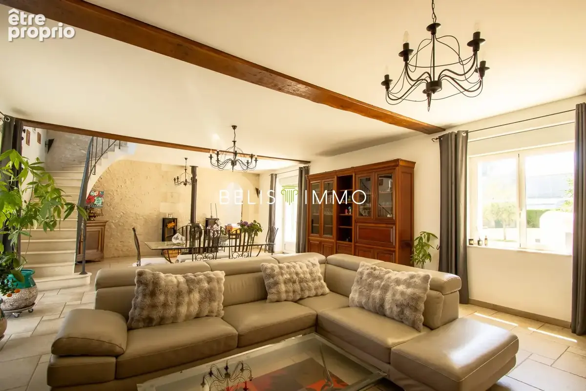 Maison 265 m² à Athee-Sur-Cher  - photo 4
