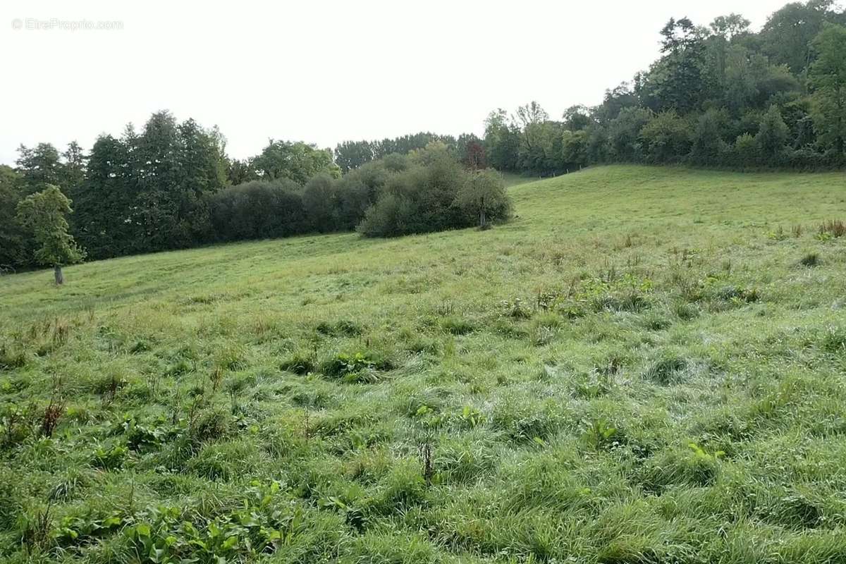 Maison à SAINT-PIERRE-SUR-DIVES