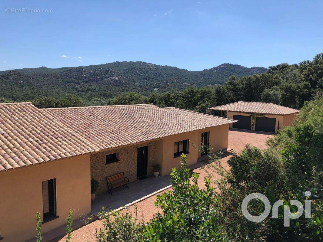 Propriété   Porto Vecchio - photo 17